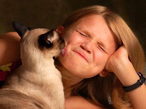 猫咪为什么总是喜欢舔人？它其实是想告诉你这6件事（为什么猫总喜欢舔主人）