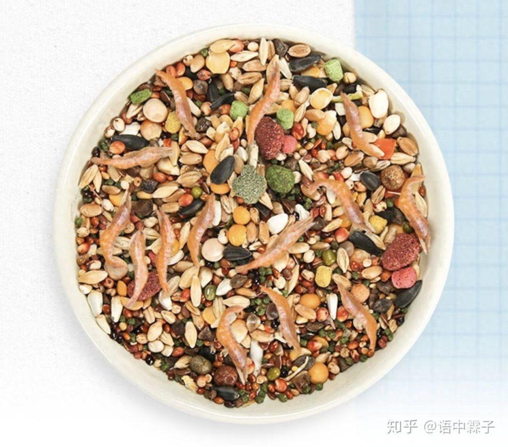 国产粮是毒粮!那究竟该如何选择仓鼠粮?(仓鼠粮牌子排名进口) 国产粮是毒粮!那究竟该如何选择仓鼠粮?(仓鼠粮牌子排名进口)