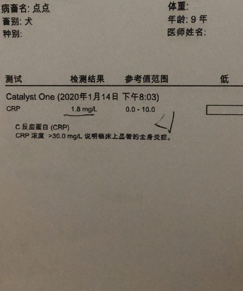 9岁的斑点狗被检查出脊髓炎,难以想象,它这9年是怎么熬过来的(狗狗脊髓炎能自愈吗) 9岁的斑点狗被检查出脊髓炎,难以想象,它这9年是怎么熬过来的(狗狗脊髓炎能自愈吗)