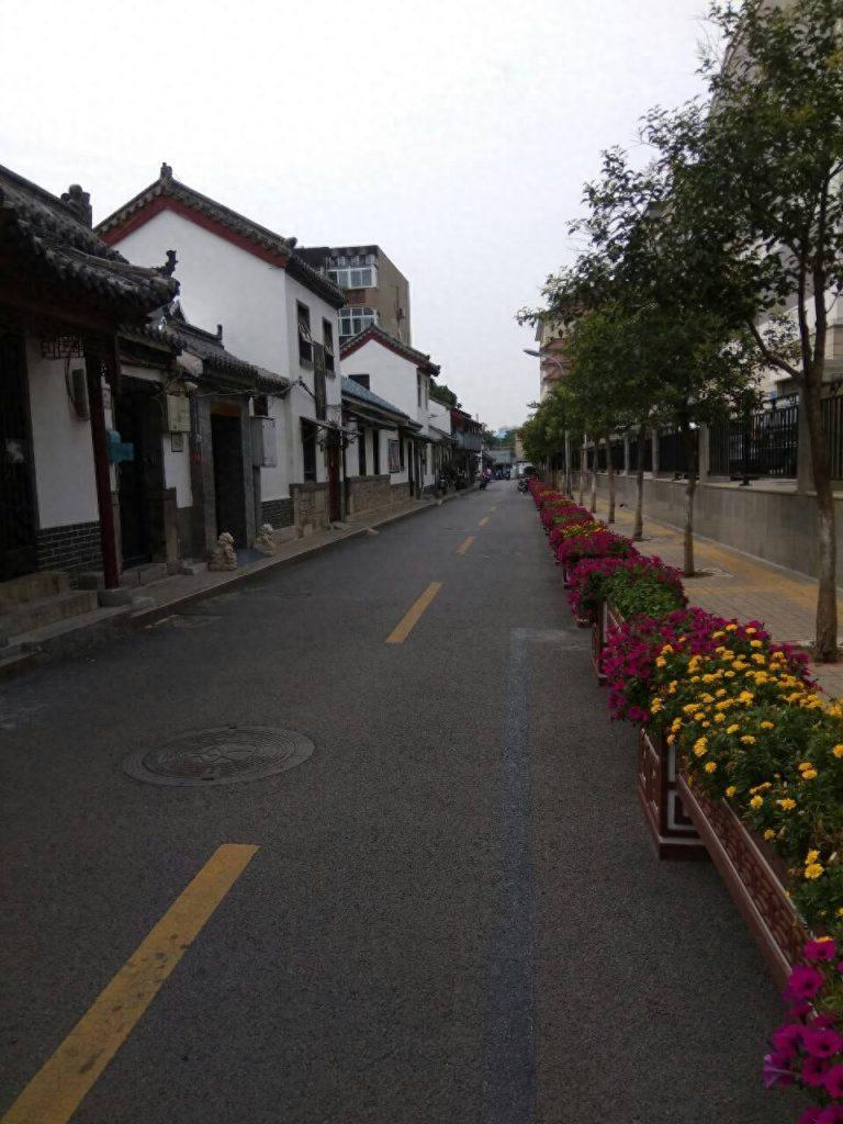 春日路过鞭指巷，遇到一只饱读诗书的鹦鹉