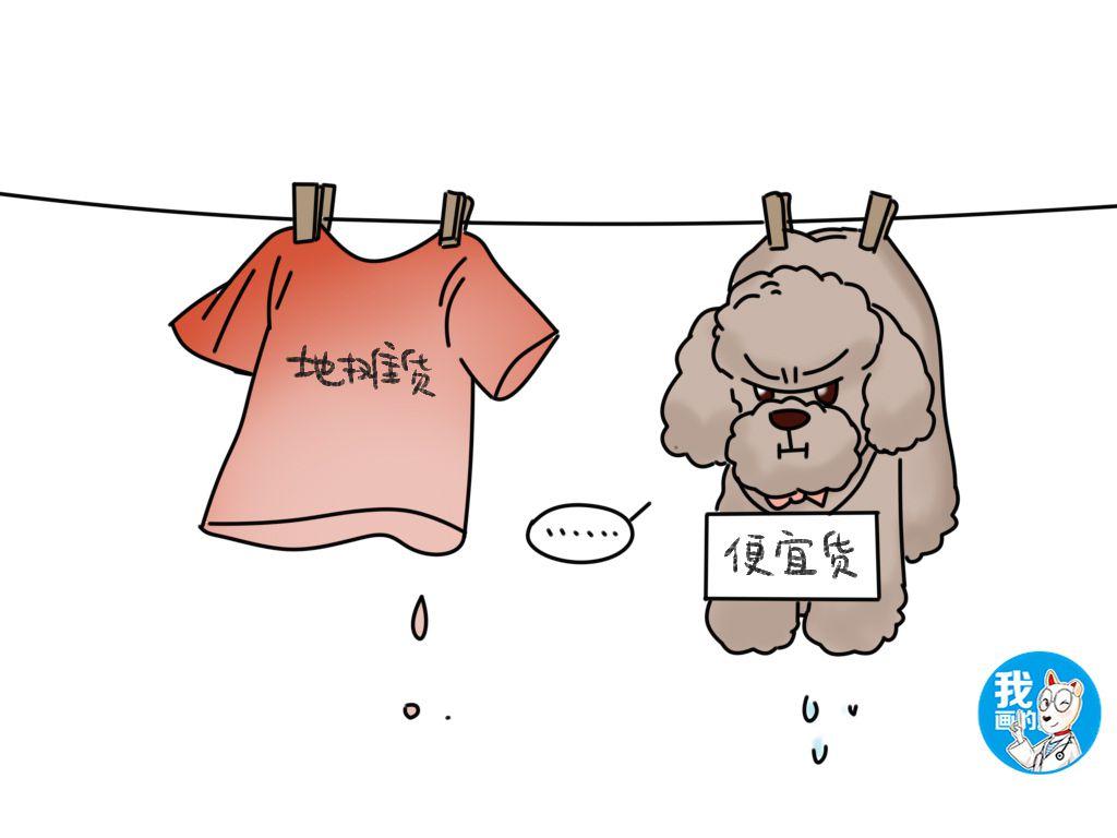 高价买的泰迪犬居然掉色了,是我买到假狗了吗?(泰迪狗掉色怎么恢复) 高价买的泰迪犬居然掉色了,是我买到假狗了吗?(泰迪狗掉色怎么恢复)