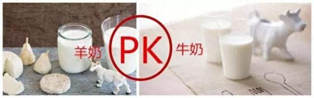 如何正确给狗狗喂食羊奶粉?掌握这几个小窍门(狗狗如何吃羊奶粉) 如何正确给狗狗喂食羊奶粉?掌握这几个小窍门(狗狗如何吃羊奶粉)