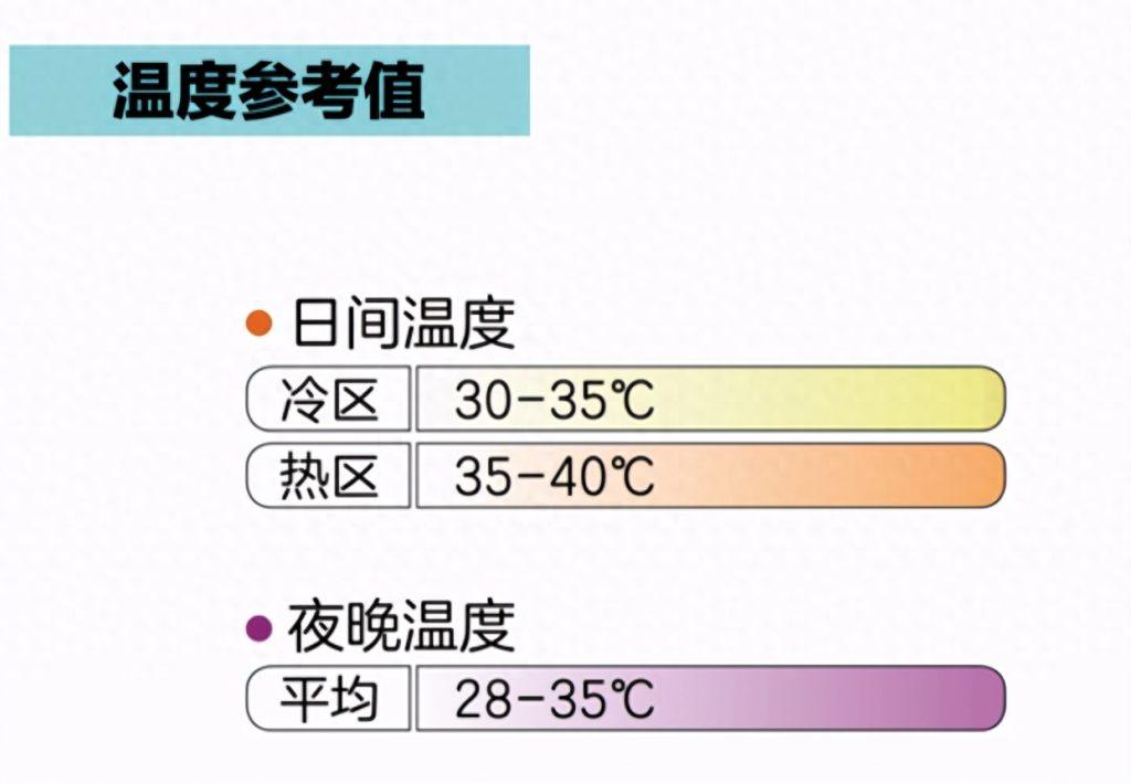 物种小谈┃尼日利亚王者蜥(尼日王者蜥蜴) 物种小谈┃尼日利亚王者蜥(尼日王者蜥蜴)