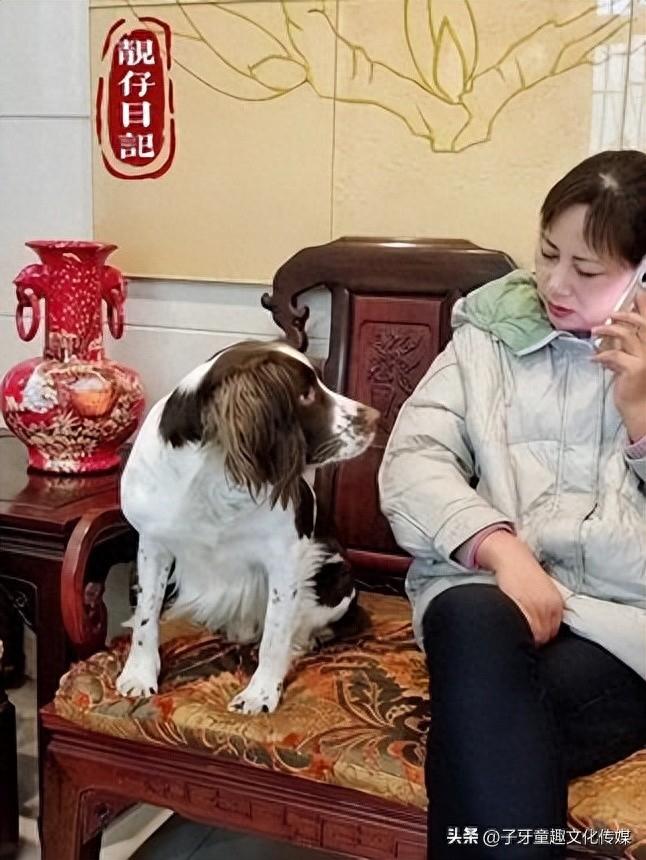 全网最会打报告的狗,好吃懒做偷奸耍滑,翻脸比翻书还快(打报告的小人图片) 全网最会打报告的狗,好吃懒做偷奸耍滑,翻脸比翻书还快(打报告的小人图片)