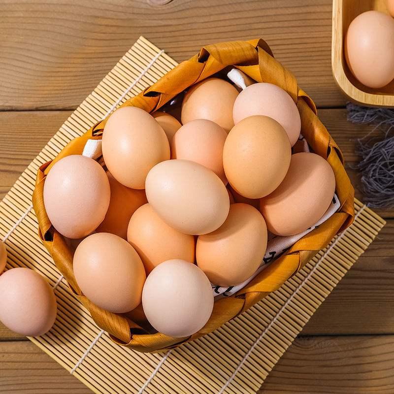 狗狗“瘦弱”应该吃什么?这6样食物能增肥!(狗狗很瘦吃什么能胖起来) 狗狗“瘦弱”应该吃什么?这6样食物能增肥!(狗狗很瘦吃什么能胖起来)