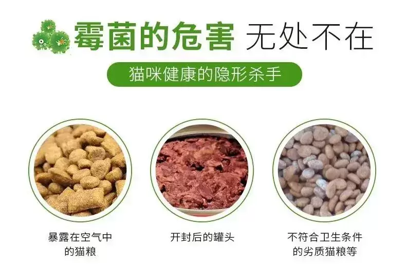 霉菌毒素对犬猫的危害!?(霉菌毒素对动物的危害体现在哪些方面) 霉菌毒素对犬猫的危害!?(霉菌毒素对动物的危害体现在哪些方面)