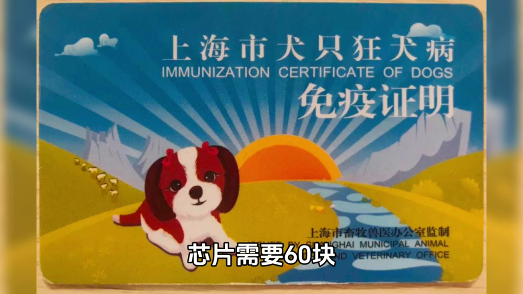 2024年上海犬证办理教程（上海办狗证流程2020）