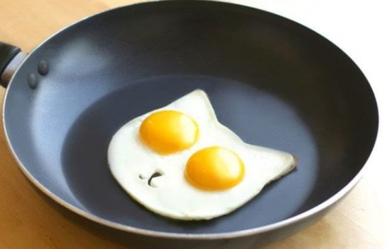 鸡蛋全身对猫来说都是宝，蛋清、蛋黄和蛋壳，就看你如何来使用（鸡蛋对猫的好处和坏处）
