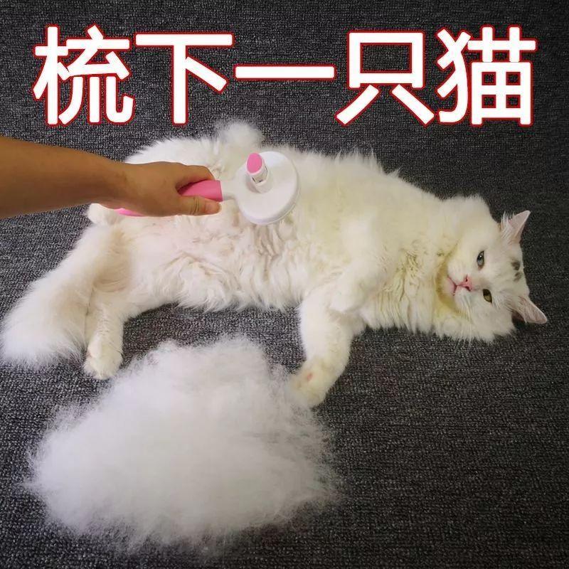 猫咪为什么会吐毛球？化毛膏一定要吃吗？（猫咪吐毛球了 喂化毛膏来得及吗）