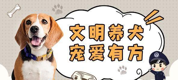 上海市区养狗常识，这些你都知道吗？