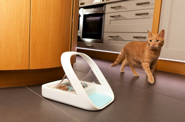 高科技养猫：猫咪刷脸食盆与自动猫砂盆的实用性